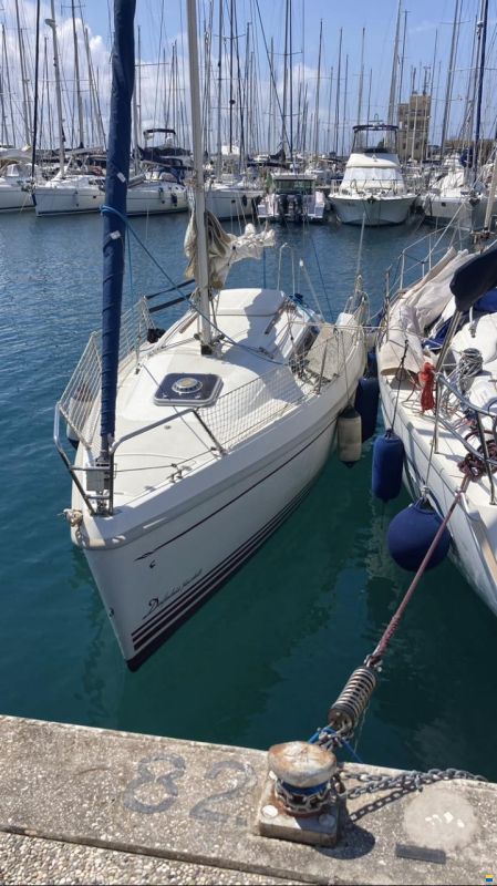 Delphia 24