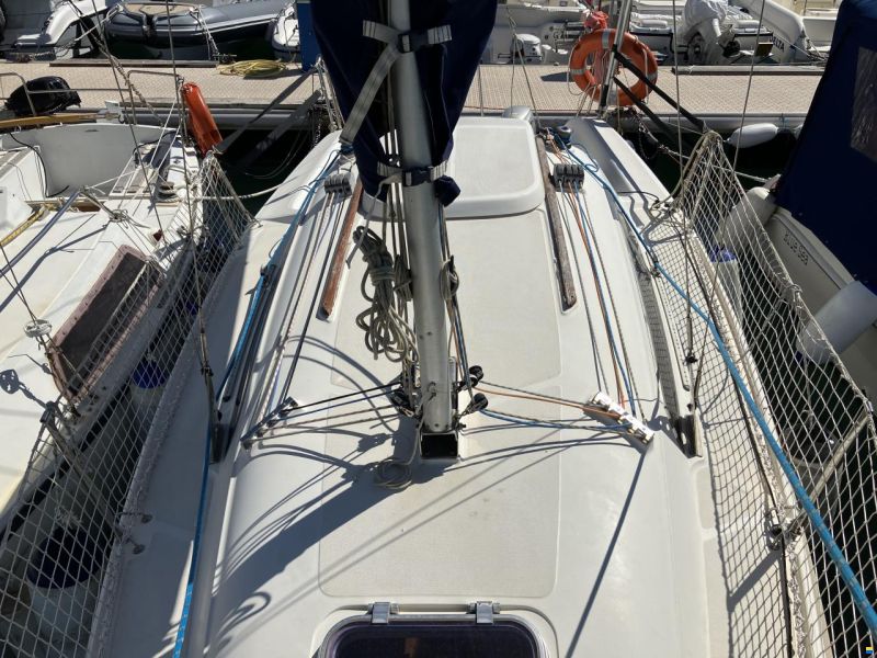 Delphia 24