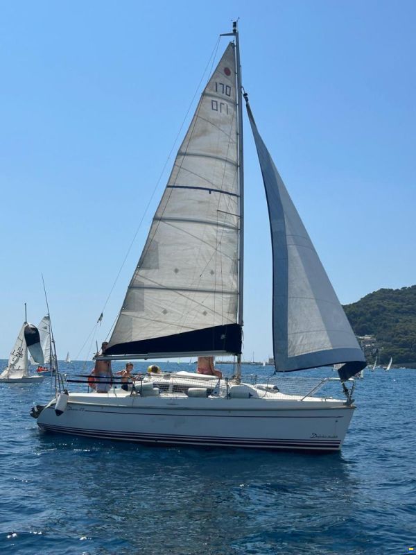 Delphia 24