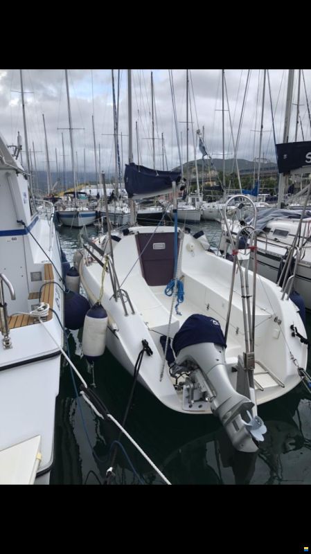 Delphia 24