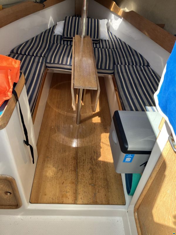 Delphia 24