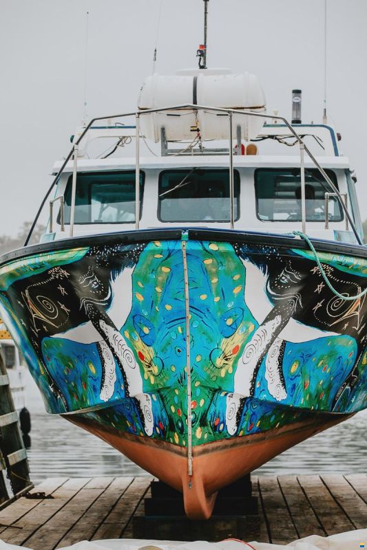Electric tour/fishing commercial vessel