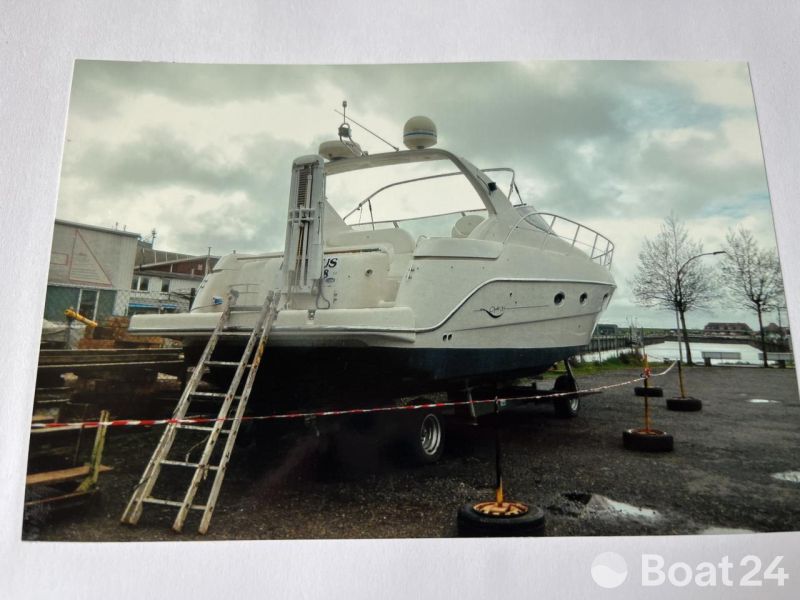 Sessa Oyster 38