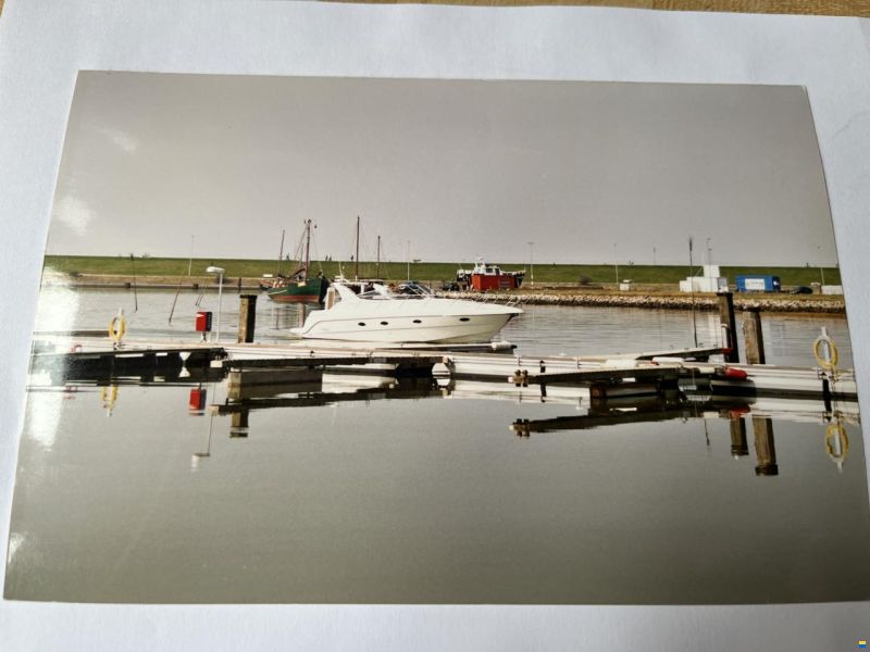 Sessa Oyster 38