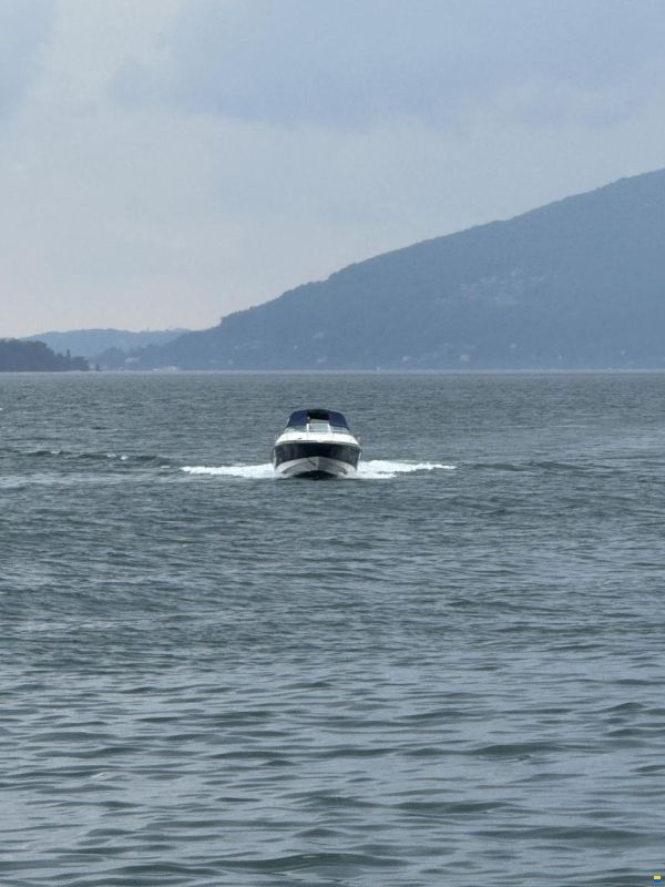 Viper V 243