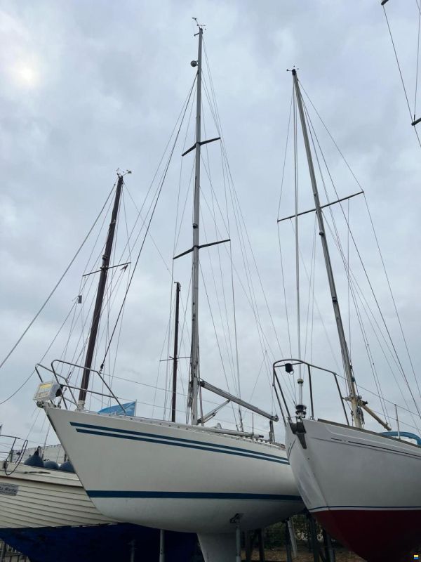 Finngulf 36