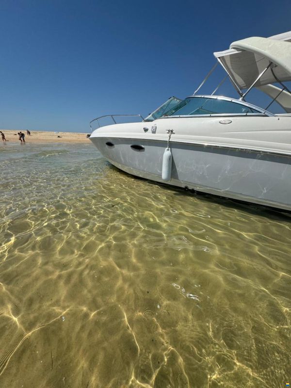 Chaparral 265 SSI