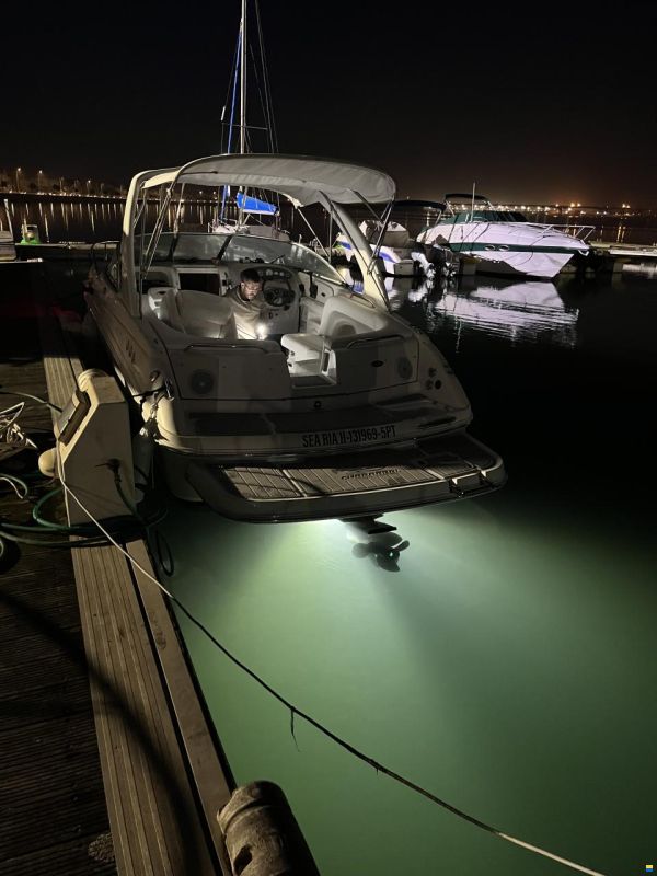 Chaparral 265 SSI