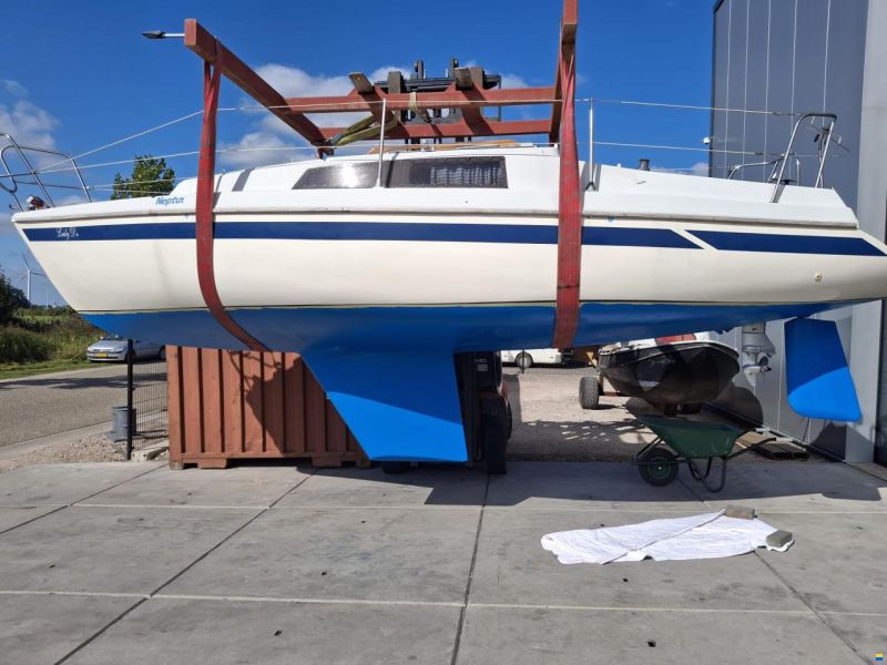 Neptun 22