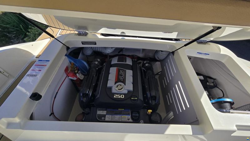 Sea Ray SPX 210 Europe