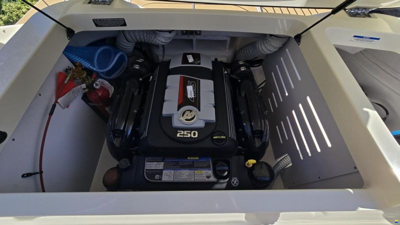 Sea Ray SPX 210 Europe