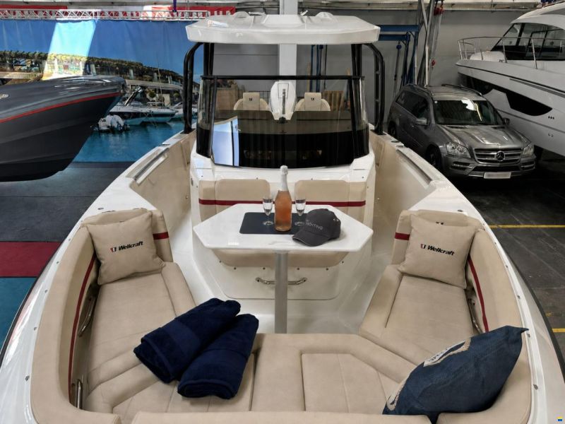 Wellcraft 28 T-Top