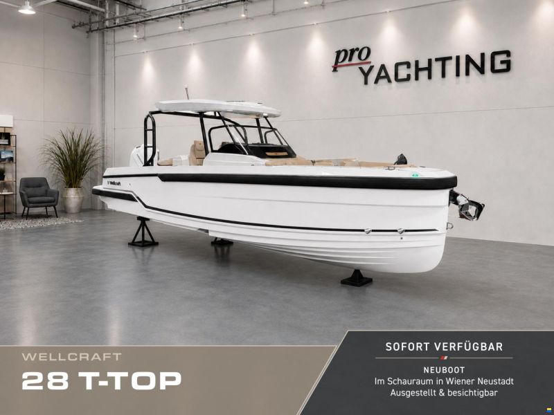 Wellcraft 28 T-Top
