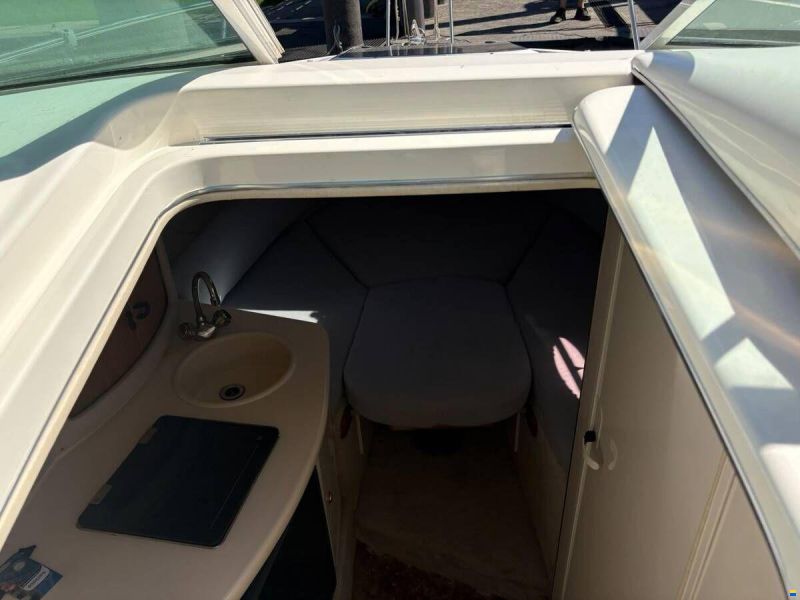 Sea Ray 250 Sundancer