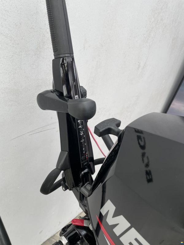 Mercury F20MLH