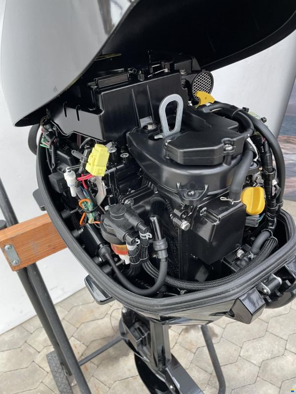 Mercury F20MLH