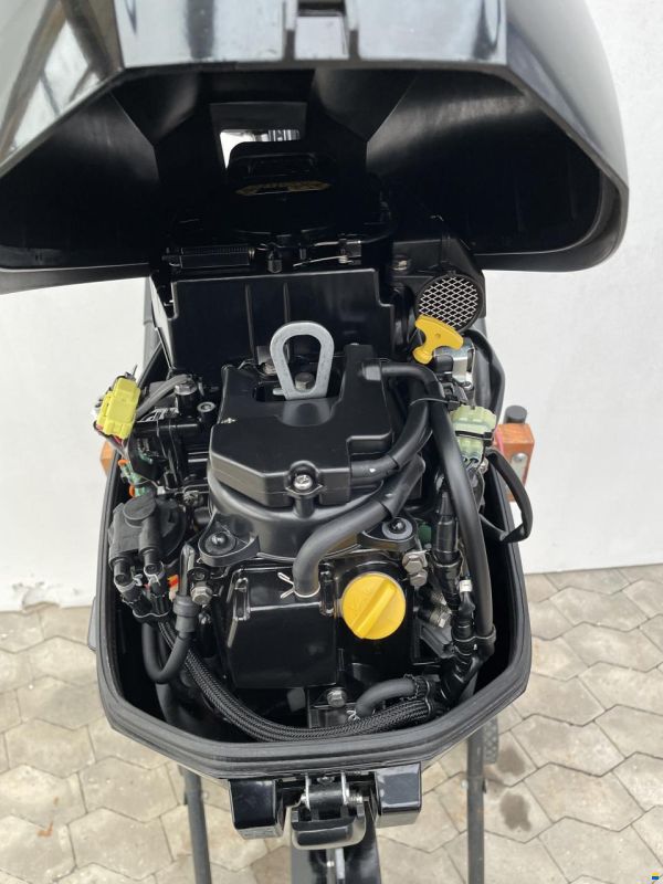 Mercury F20MLH