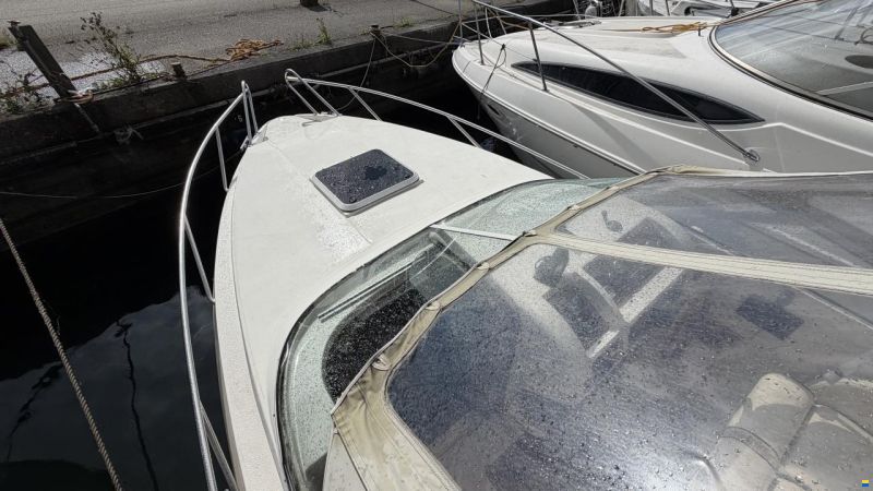 Laguna 7500