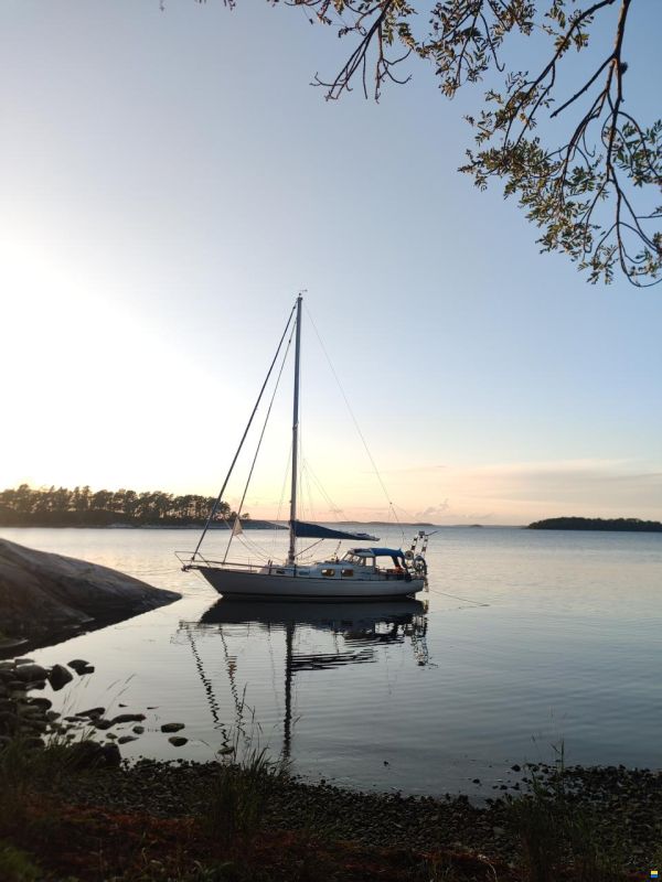 Harmony 31