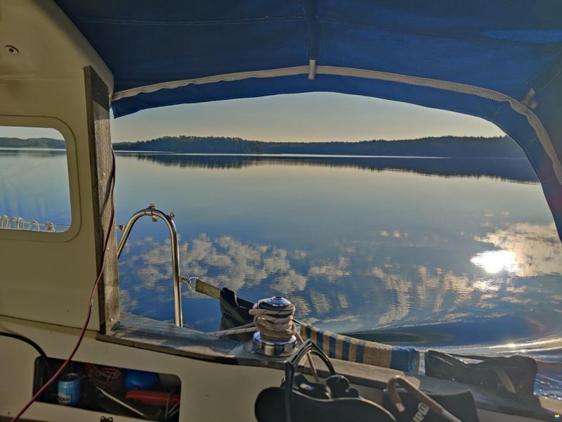 Harmony 31