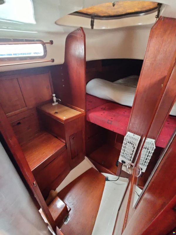 Harmony 31