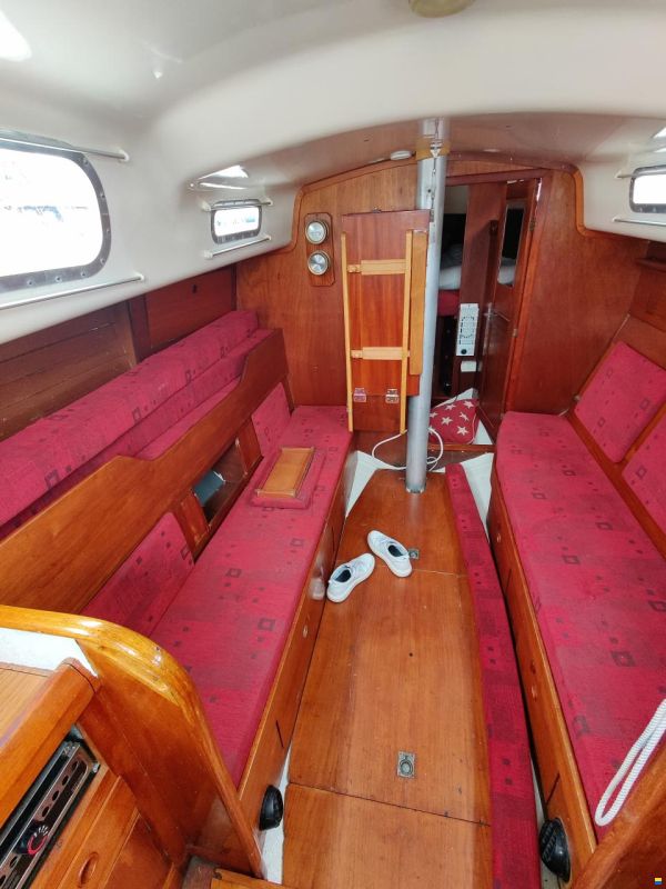 Harmony 31