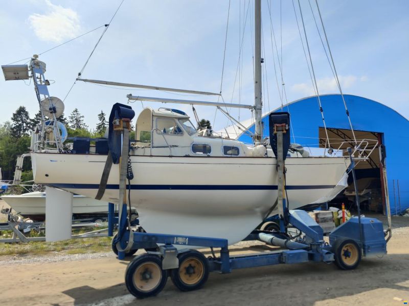 Harmony 31