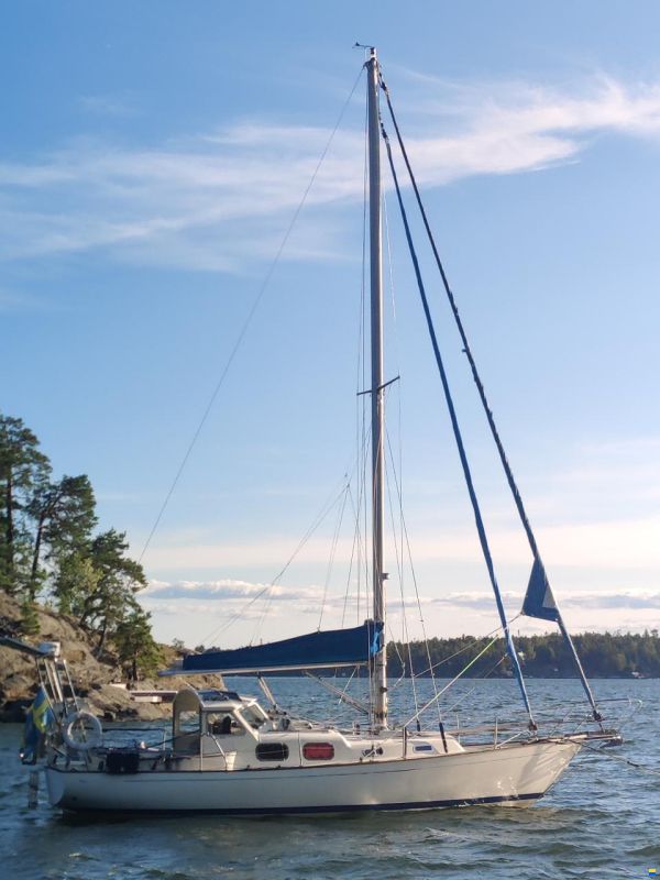 Harmony 31