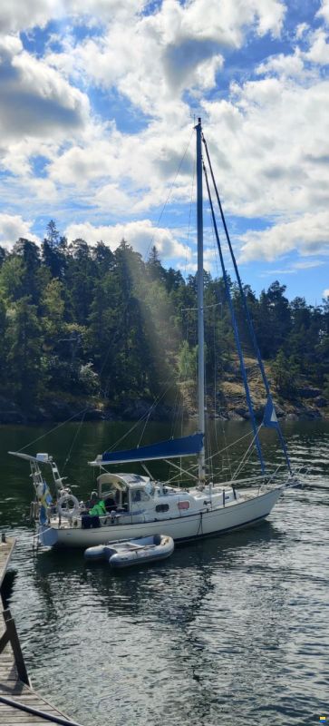 Harmony 31