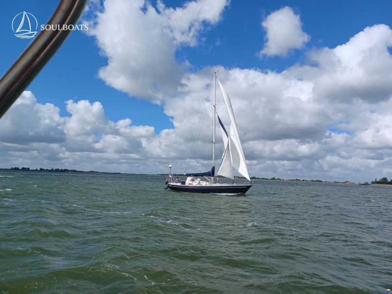 Breehorn 37