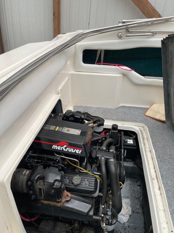 Sea Ray 215 EC