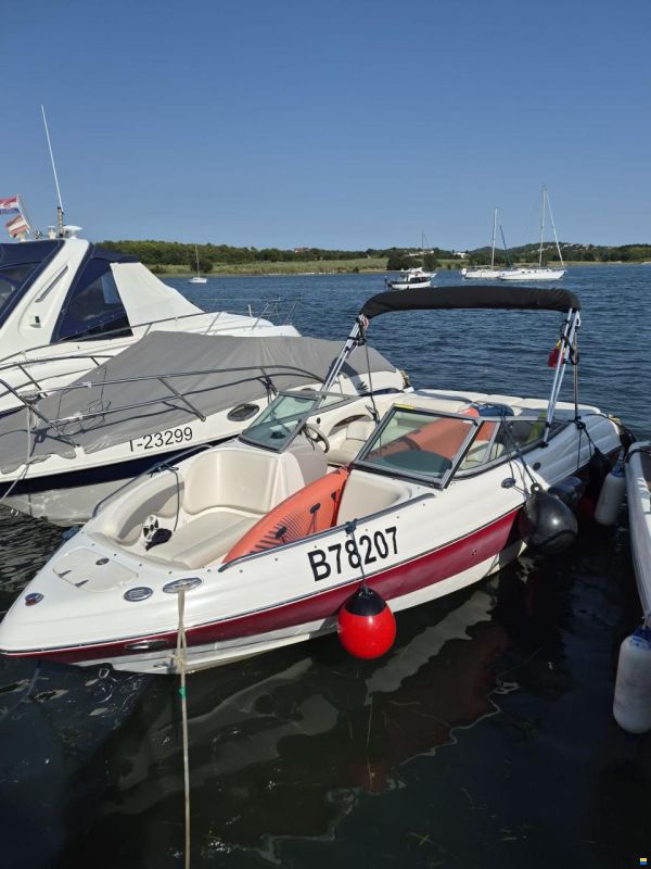Chaparral ssi 210