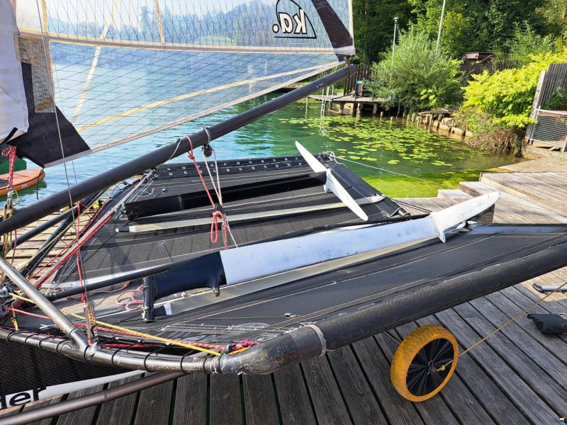 McConaghy Foiling Moth