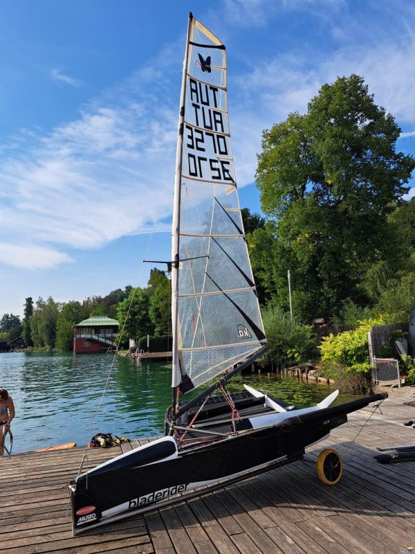 McConaghy Foiling Moth