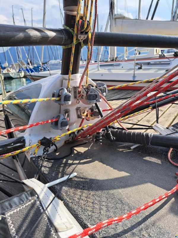 McConaghy Foiling Moth