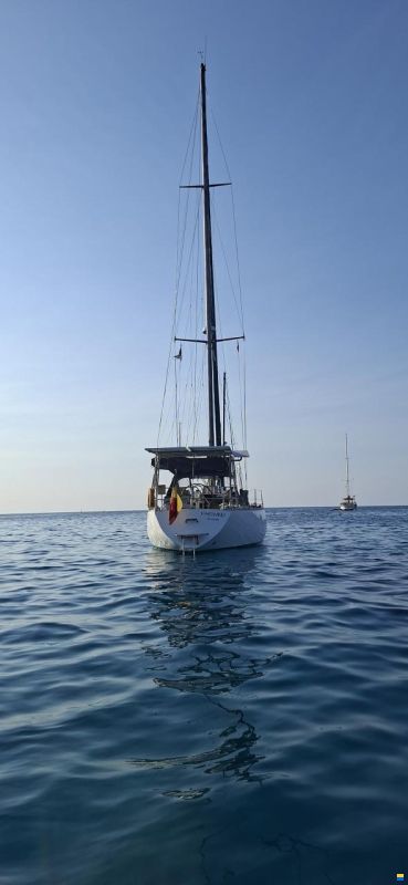 Noray 43