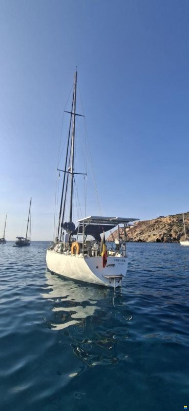 Noray 43