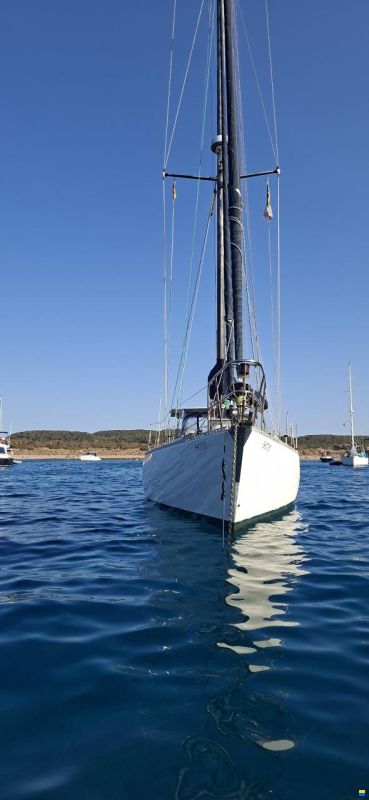 Noray 43
