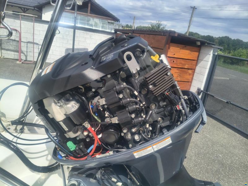 Delta RIB 525
