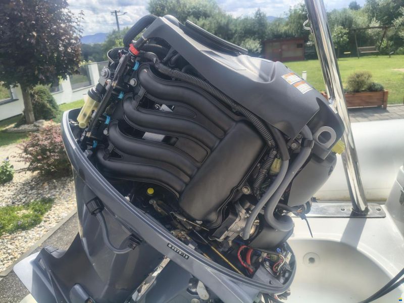 Delta RIB 525