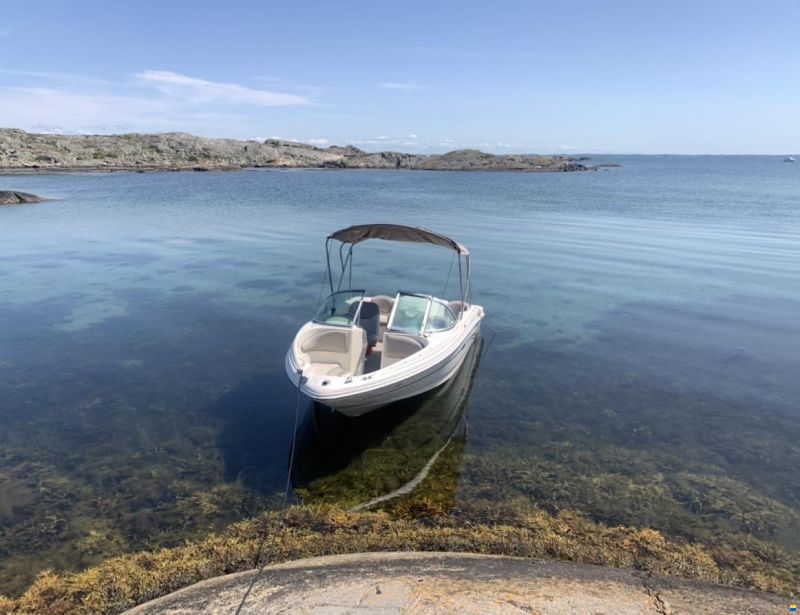 Sea Ray 176