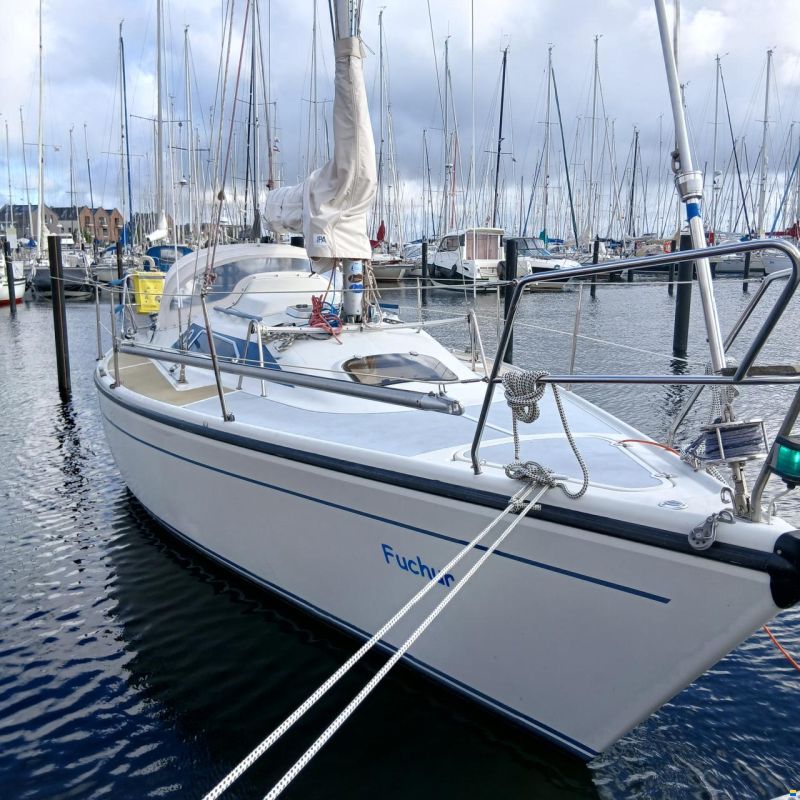 Dehler 31