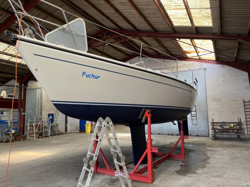 Dehler 31