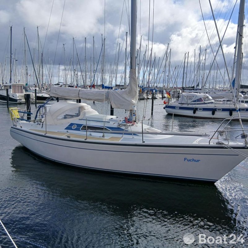 Dehler 31