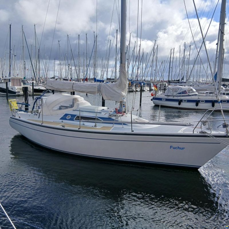Dehler 31