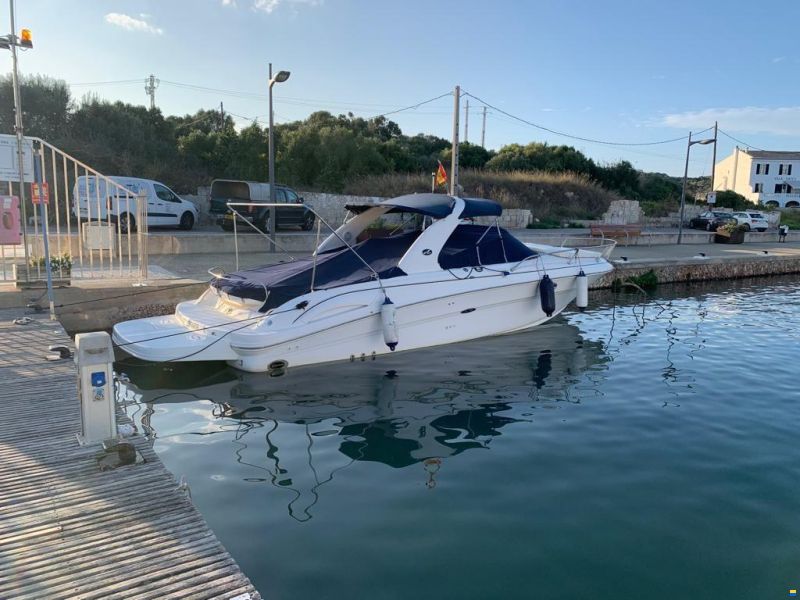 Sea Ray 290 SS