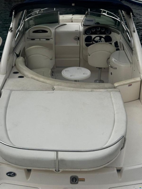 Sea Ray 290 SS