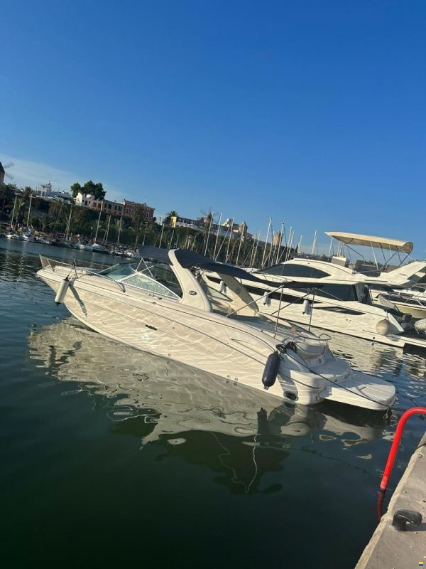 Sea Ray 290 SS