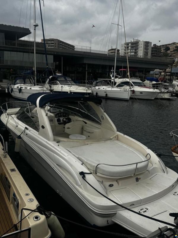 Sea Ray 290 SS