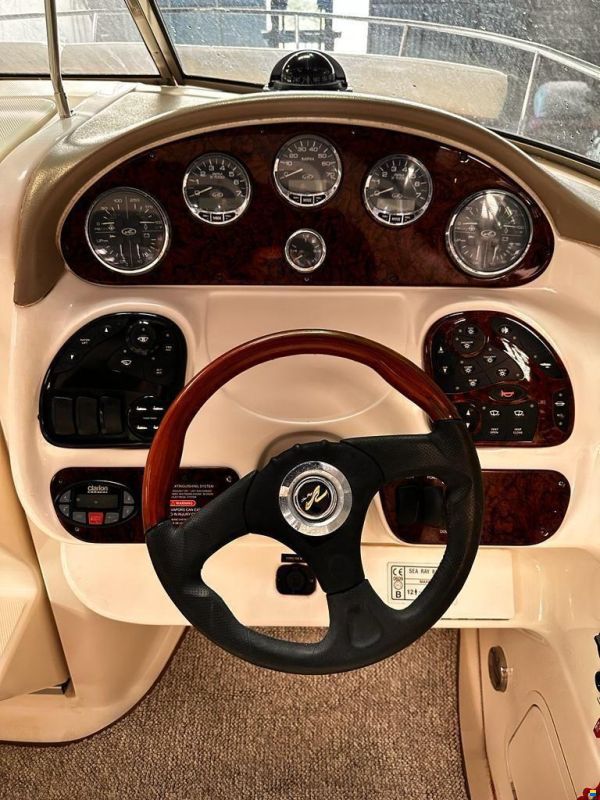 Sea Ray 290 SS